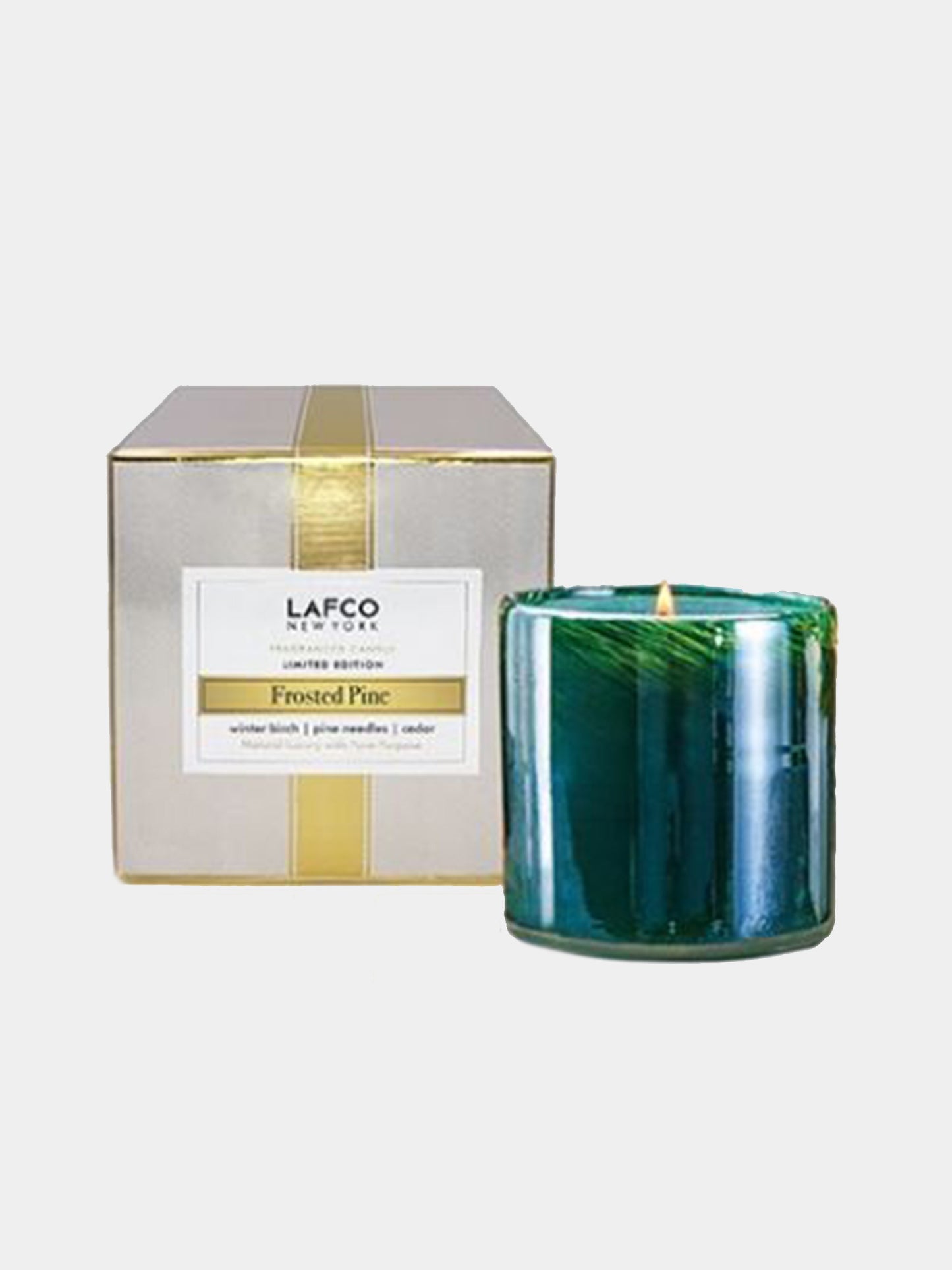 LAFCO Frosted Pine Classic Candle 6.5OZ - Saint Bernard