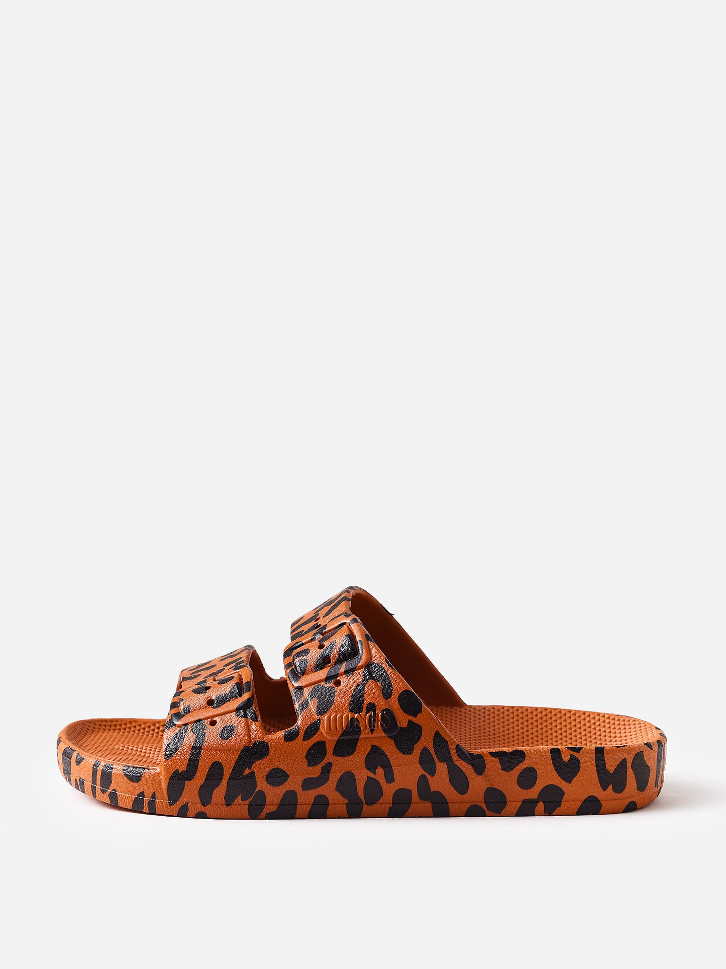 KFM002xLEOTOFFEE-alt4