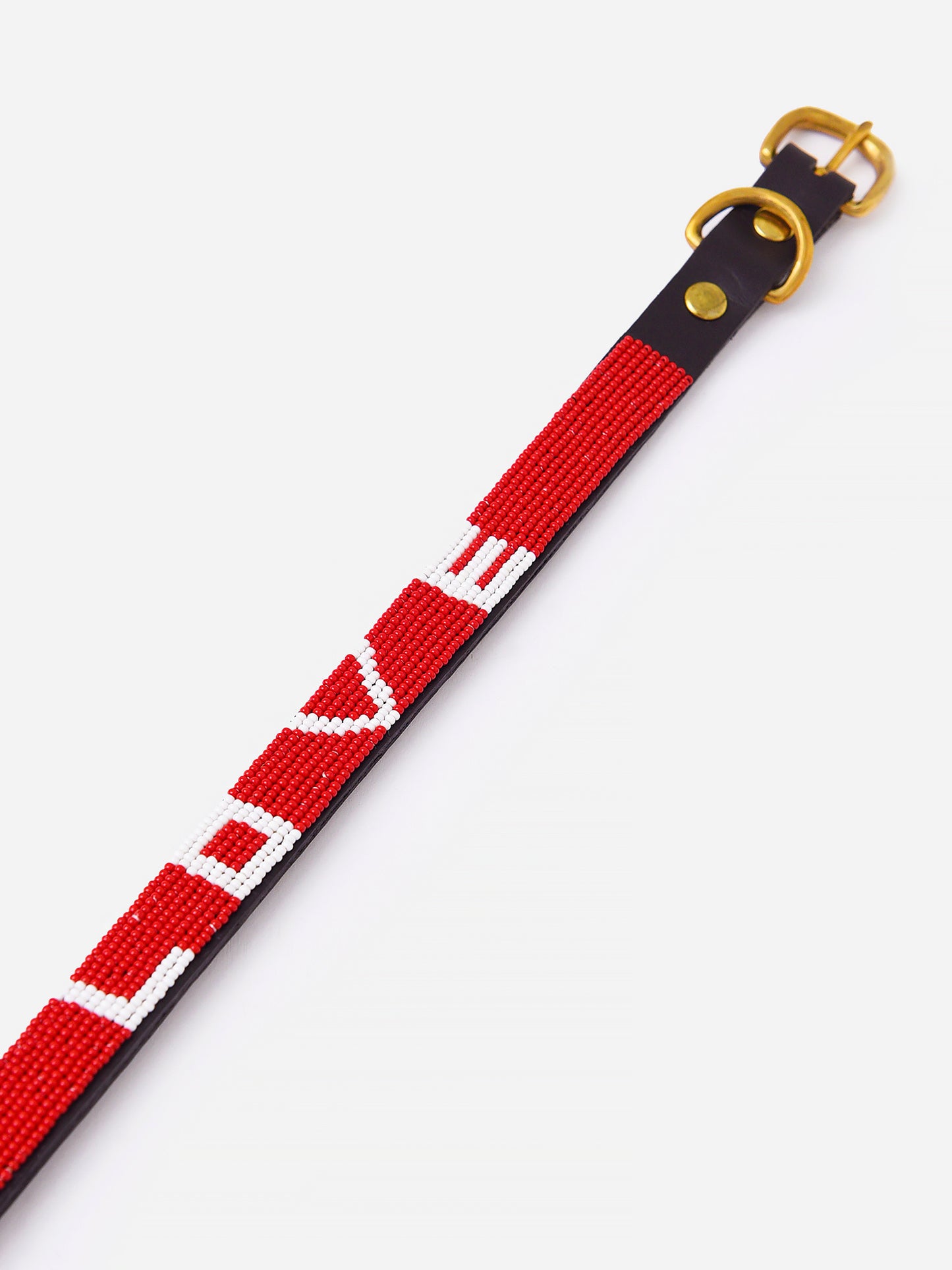 Ubuntu Love Dog Collar - Saint Bernard