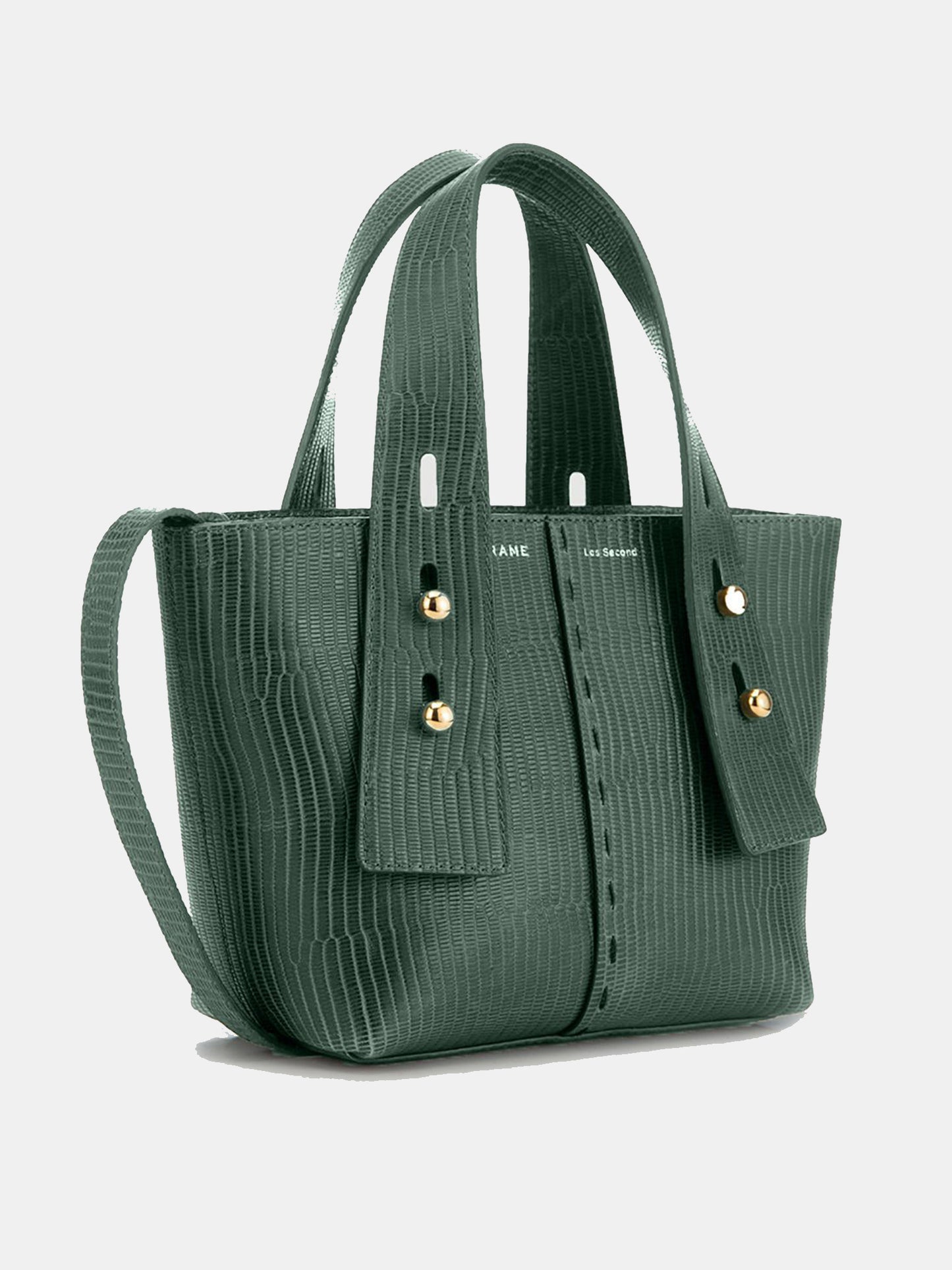 LWAX0262xFORESTLIZARD-alt2