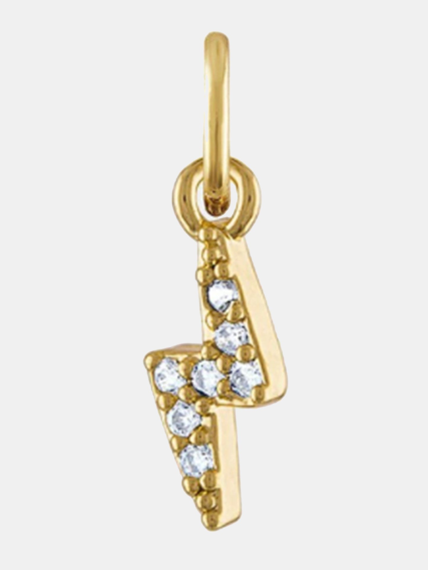 Alexa Leigh Lightning Charm - Saint Bernard