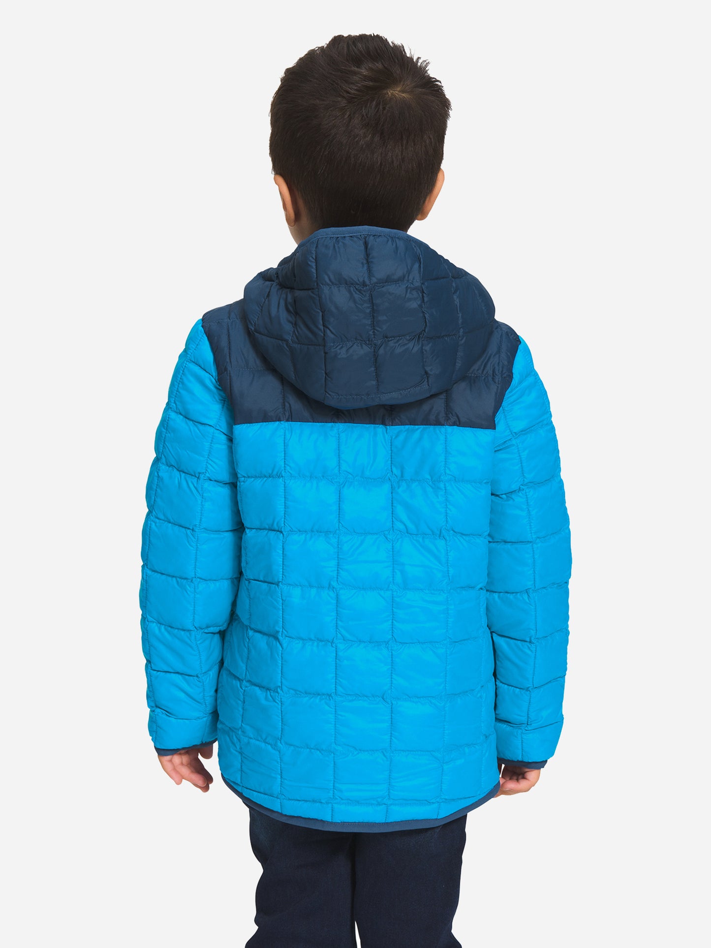 NF0A7WQLxACOUSTICBLUE-alt1