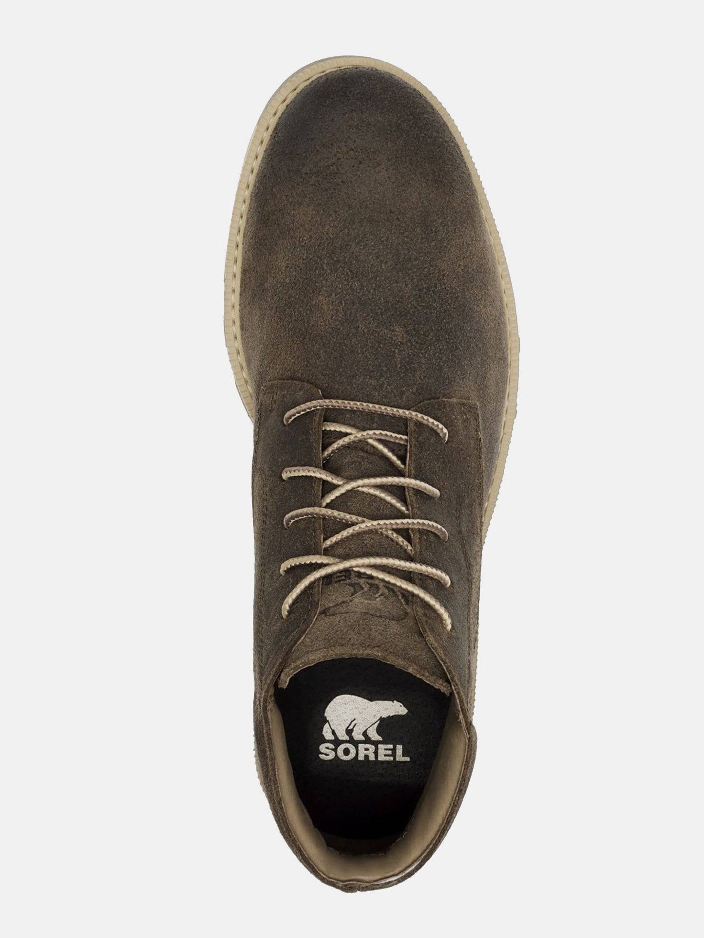 NM3846245xMAJOR-alt3