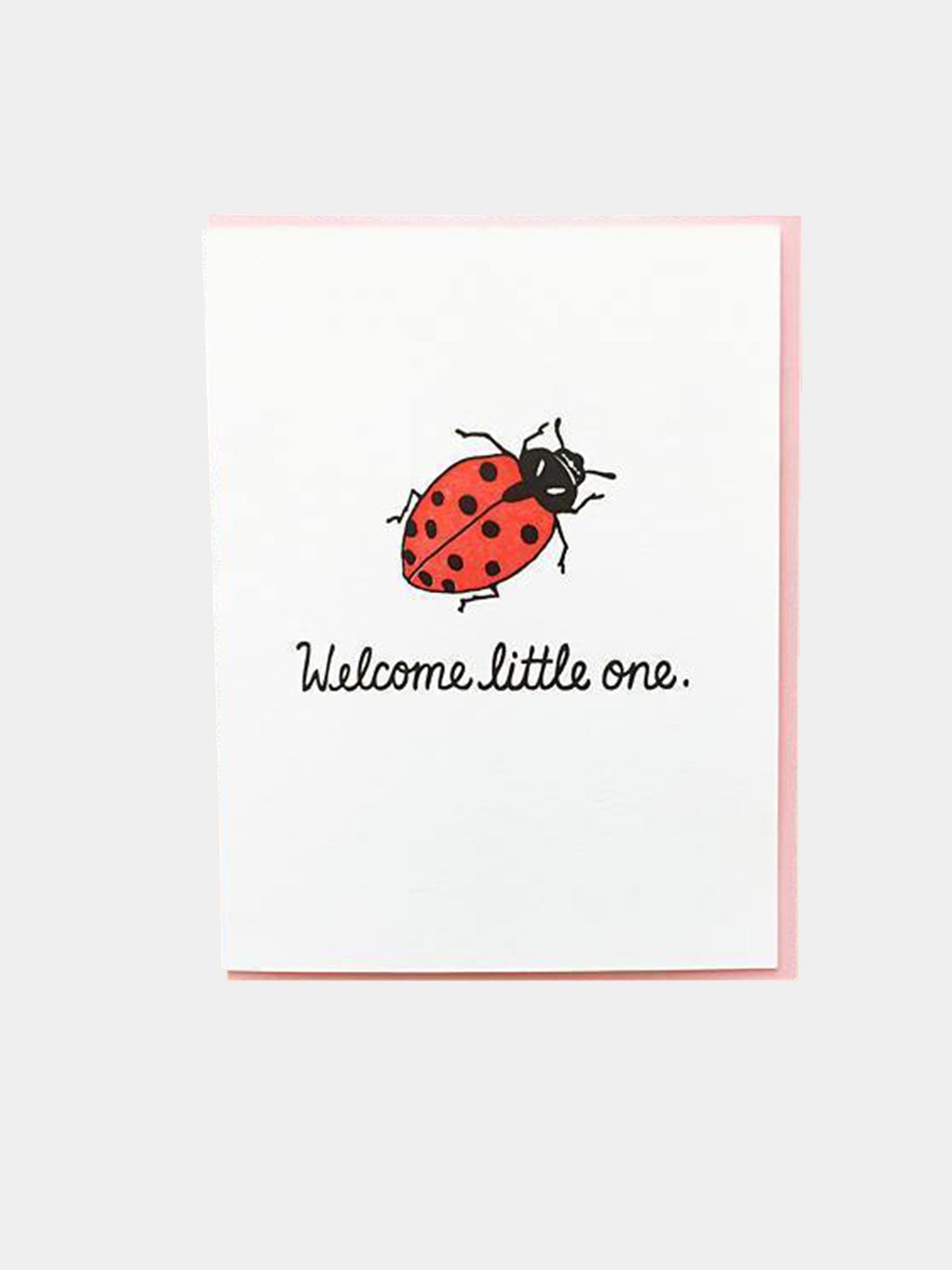 Noteworthy Welcome Lady Bug Greeting Card - Saint Bernard