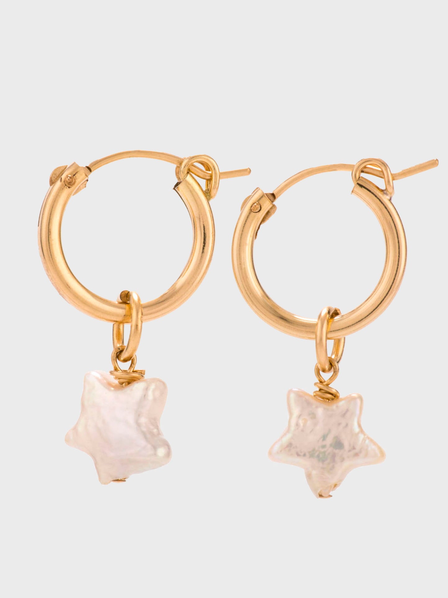 Taylor and Tessier Neptune Earrings - Saint Bernard