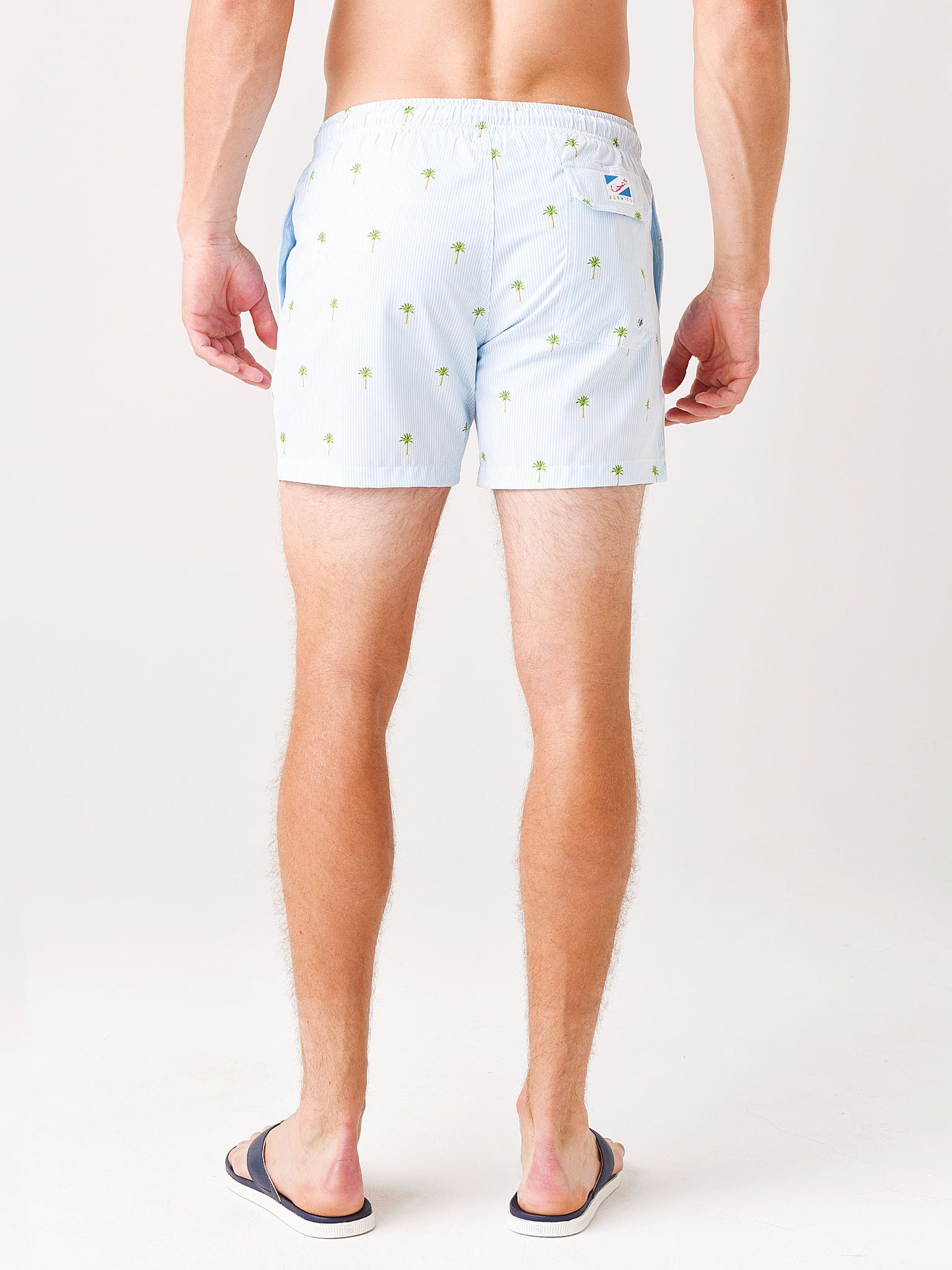 Palm StripesxLIGHTBLUE-alt3