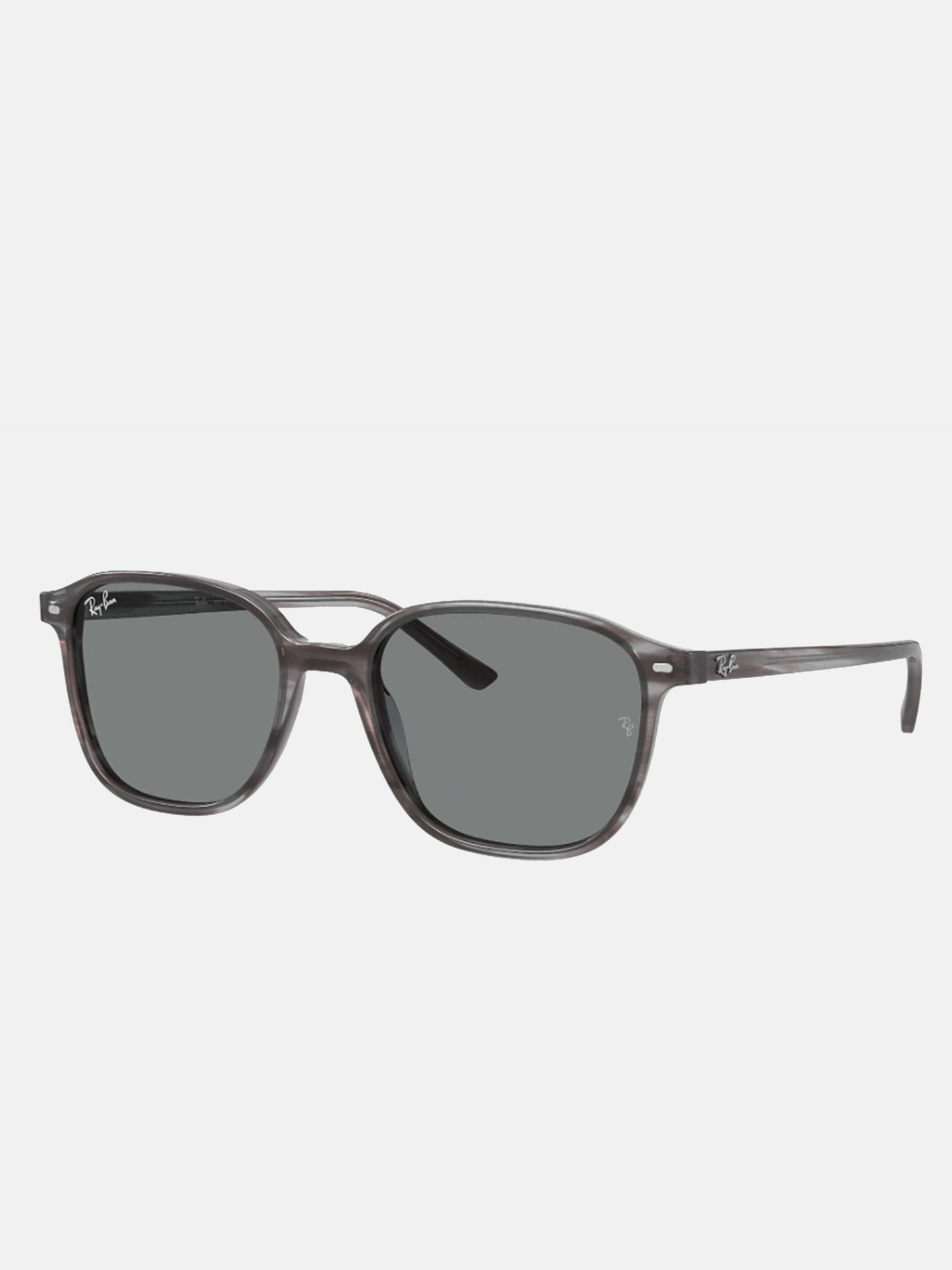 Ray-Ban Leonard Sunglasses - Saint Bernard