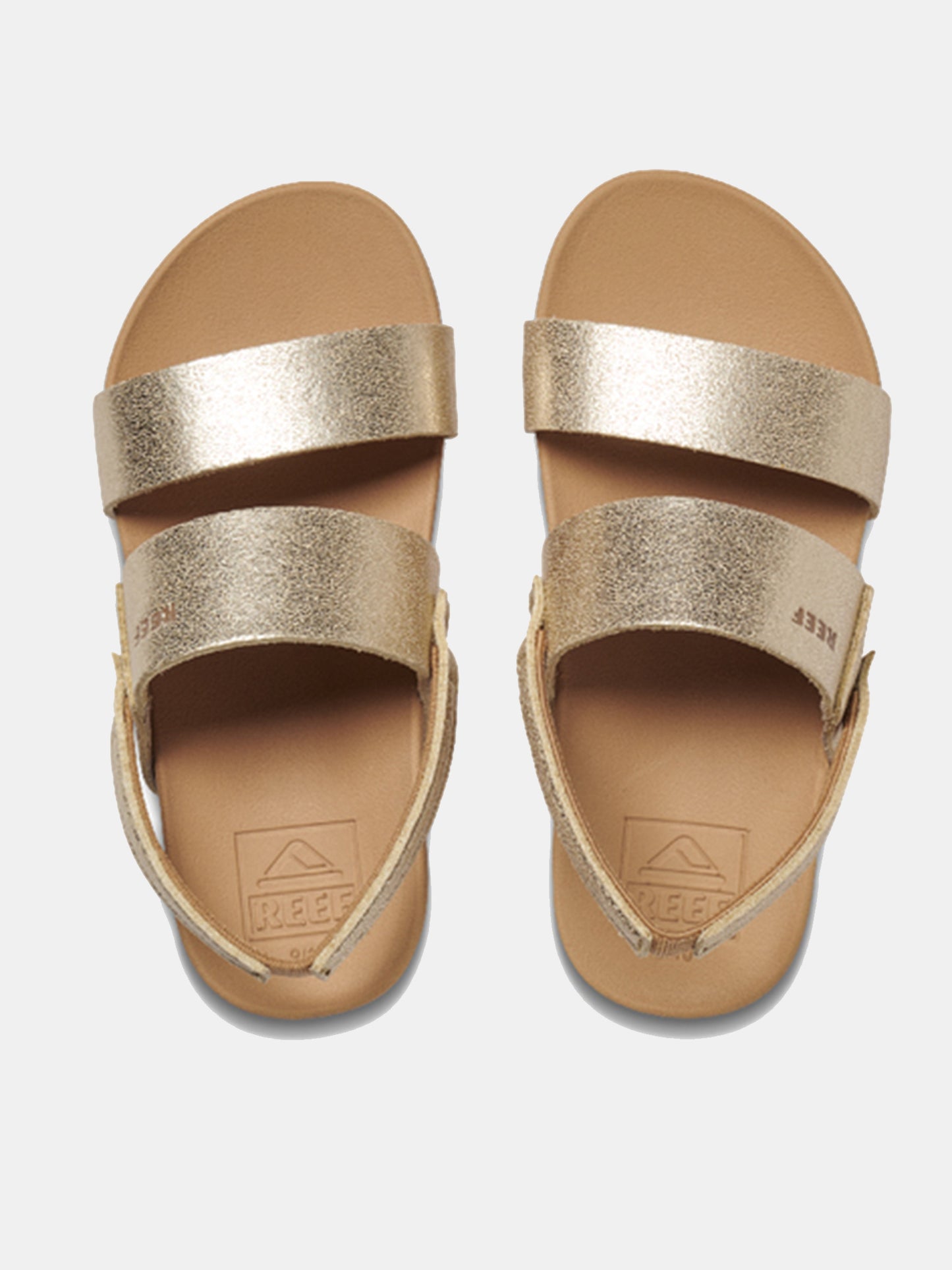 RF0A3YPITAHxTANCHAMPAGNE-alt2