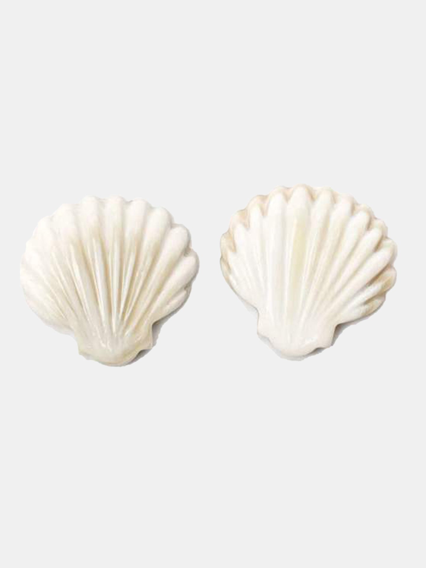 Sunshine Tienda Seashell Stud Earring - Saint Bernard
