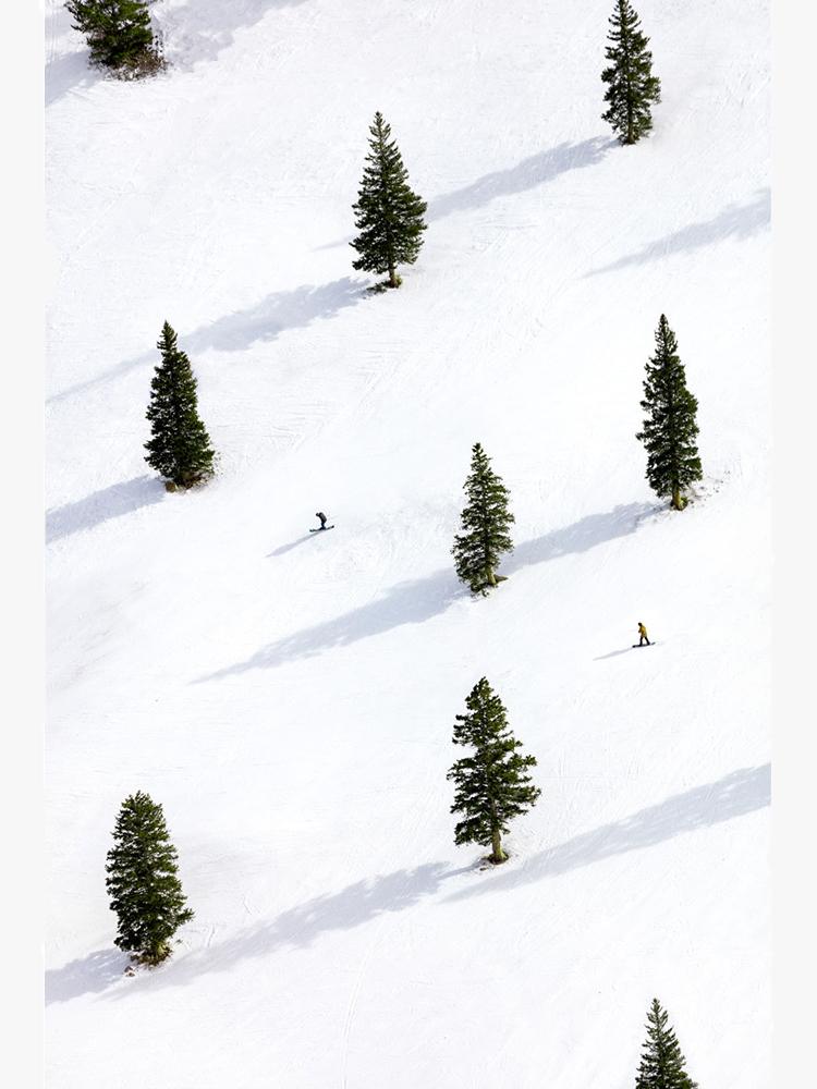 Gray Malin Sheer Bliss, Aspen Mini Print - Saint Bernard