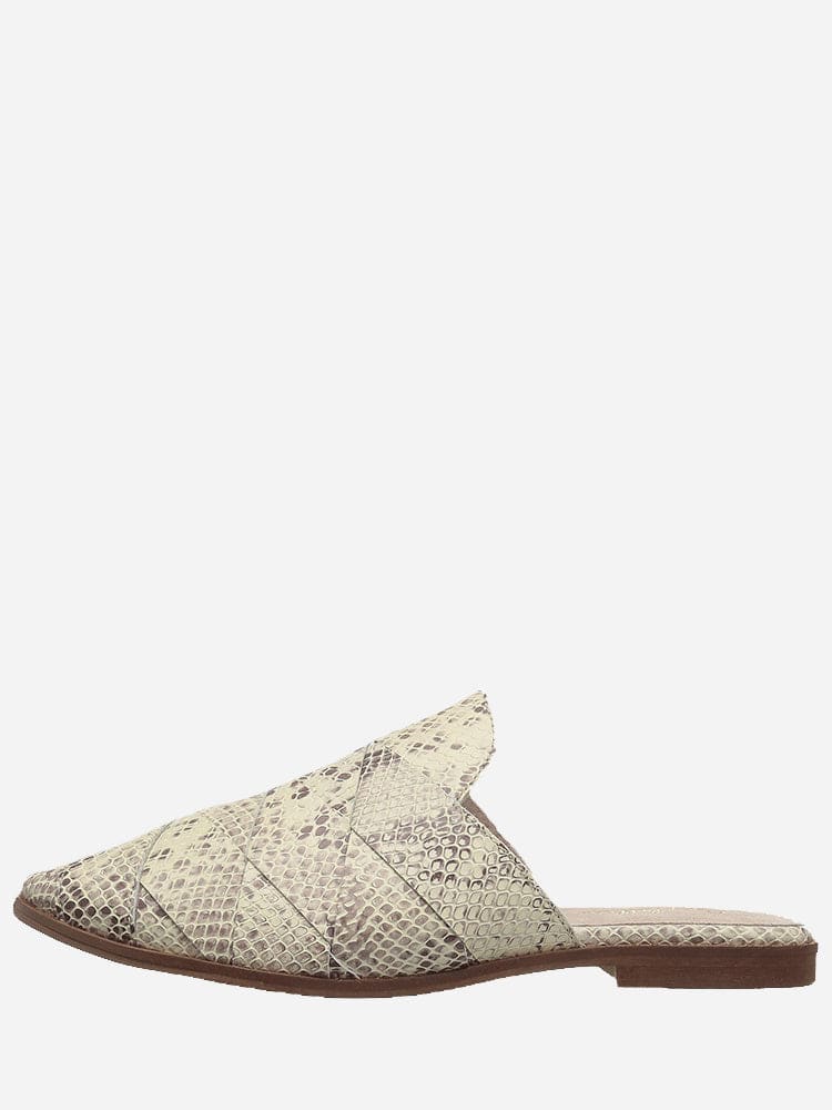 SURVIVAL IIxBEIGEEXOTIC-alt2