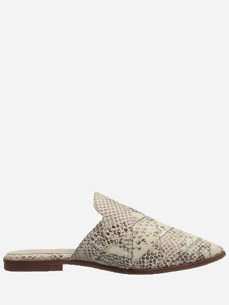 Seychelles Survival II Mule Saint Bernard - Main Image