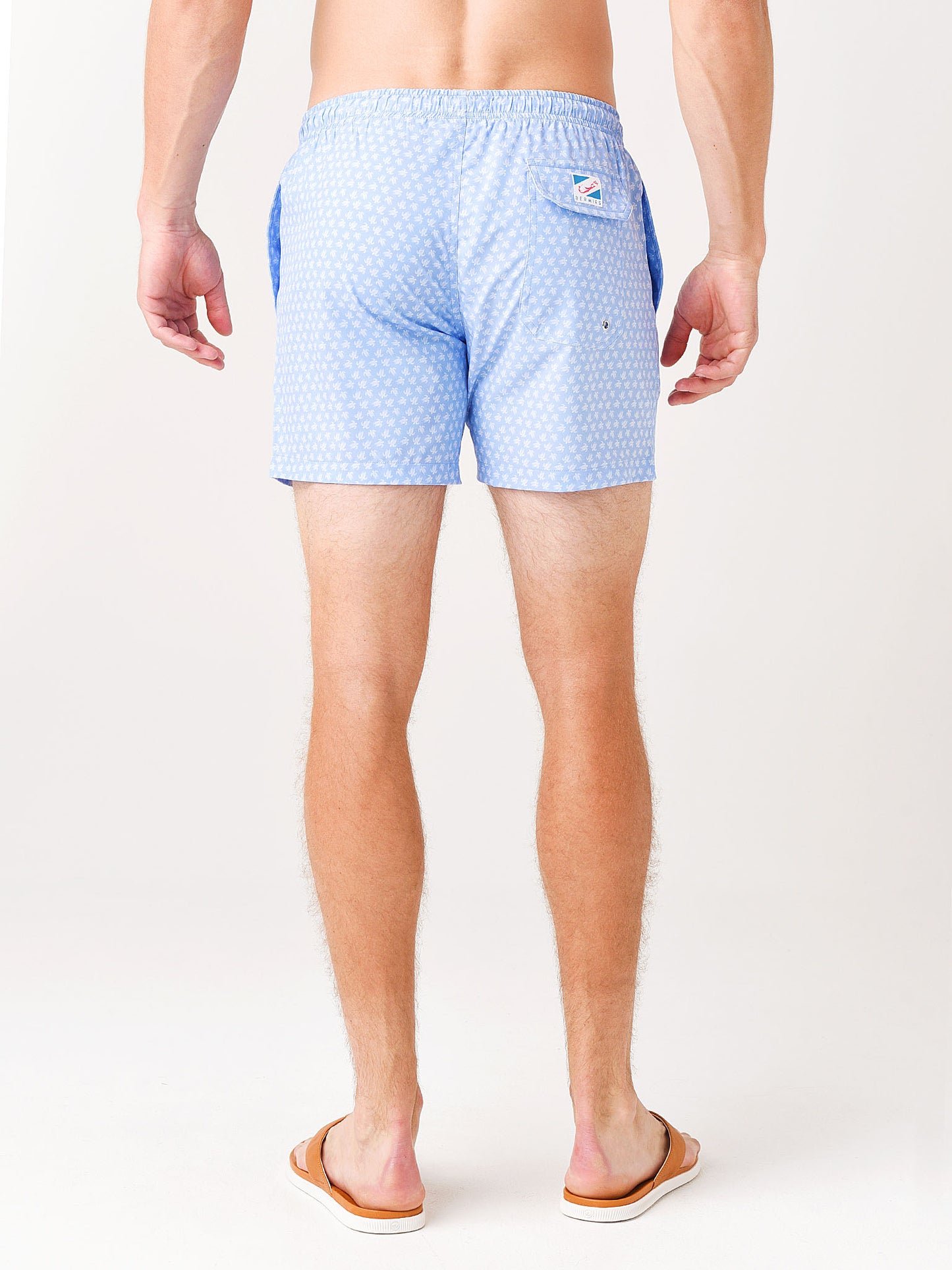 Tribal TurtlesxLIGHTBLUE-alt3