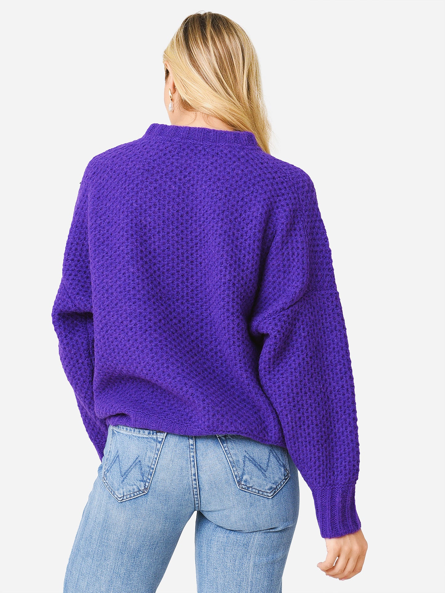 X259967xPURPLEIRIS-alt3