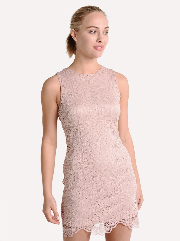 Jack Ace of Lace Scallop Hem Dress Saint Bernard Jack Ace of Lace Scallop Hem Dress Saint Bernard