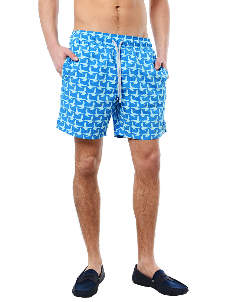 Tom & Teddy Men's Seagulls Volley - Saint Bernard