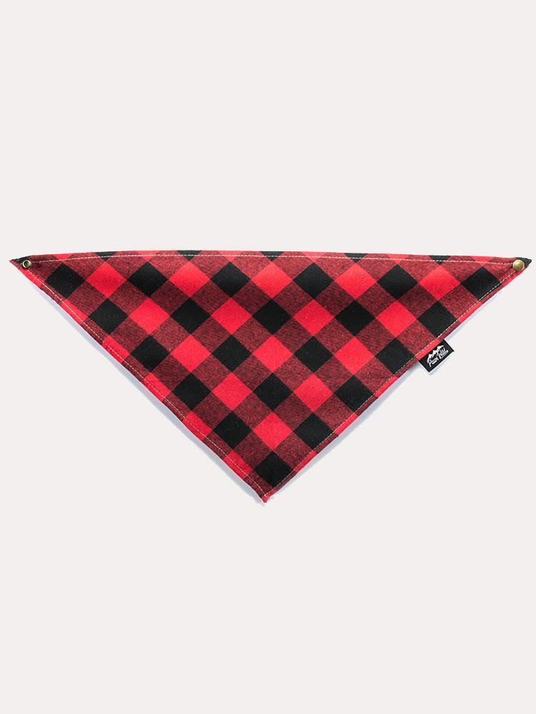 Paws Wild Sierra Bandana - Saint Bernard