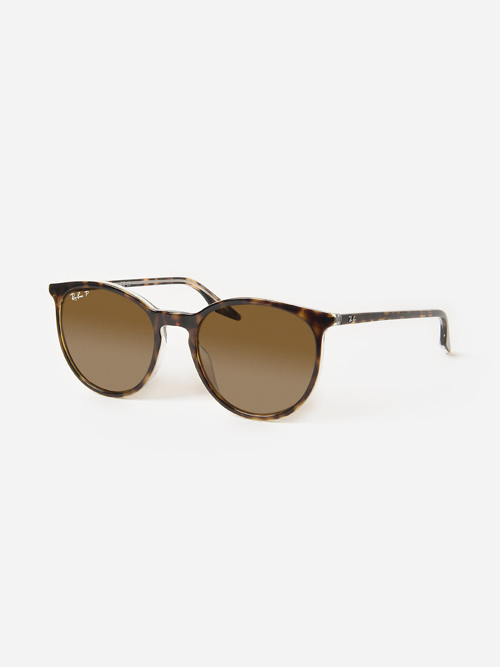 0RB2204xHAVANAONTRANSPARENTPOLARBROWN-alt2