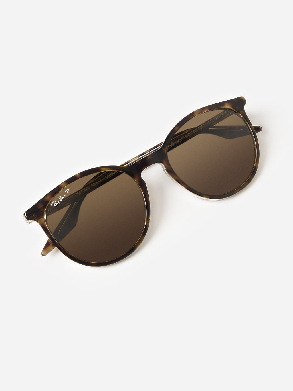 Ray-Ban 0RB2204 Sunglasses - Saint Bernard