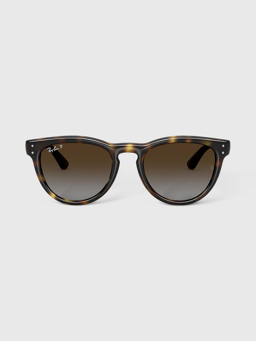 Ray-Ban 0RB2237 Sunglasses - Saint Bernard