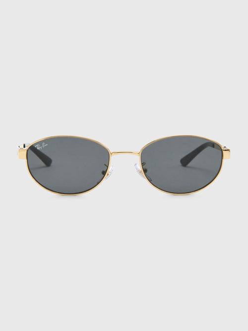 Ray-Ban 0RB3774D Sunglasses - Saint Bernard