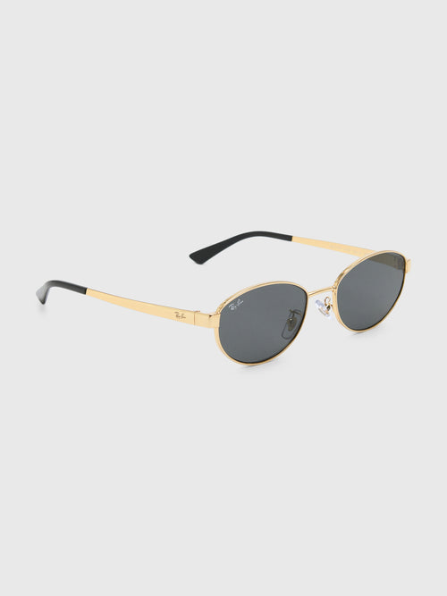 Ray-Ban 0RB3774D Sunglasses - Saint Bernard