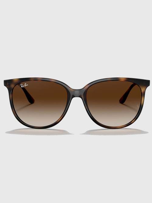 Ray-Ban 0RB4378 Sunglasses