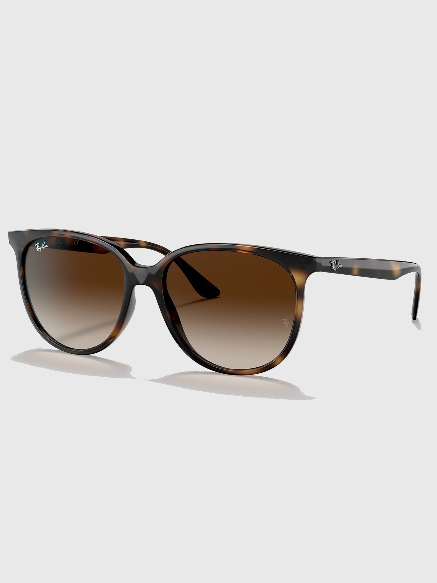 Ray-Ban 0RB4378 Sunglasses - Saint Bernard