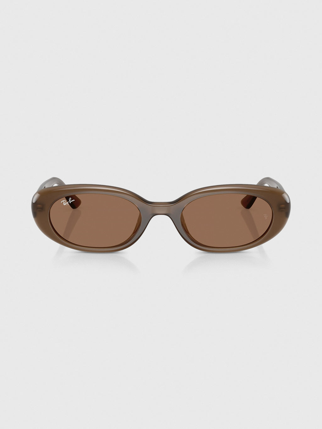 Ray-Ban 0RB4441D Bio-Based Sunglasses - Saint Bernard