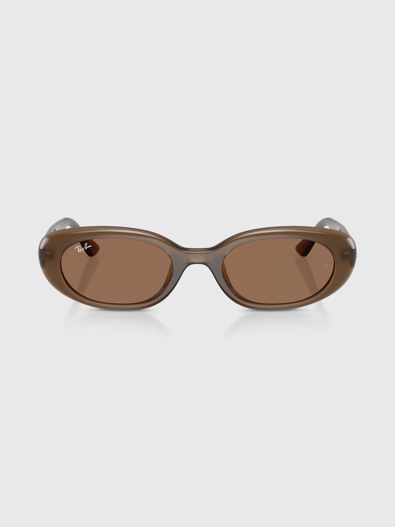 Ray-Ban 0RB4441D Bio-Based Sunglasses - Saint Bernard