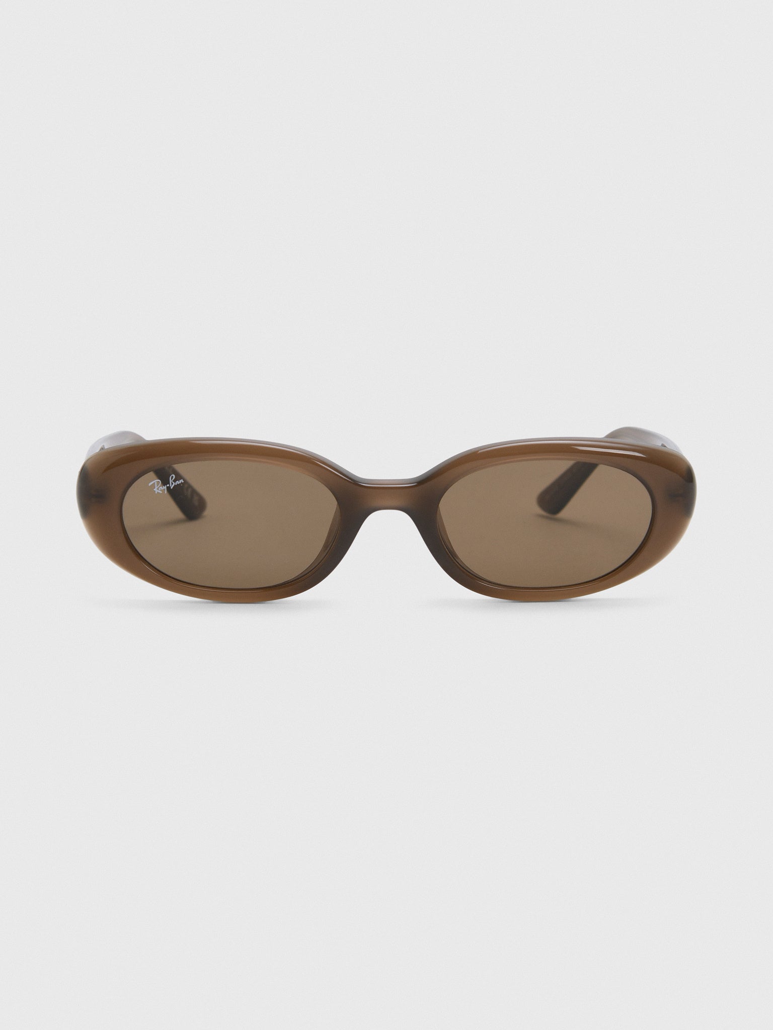 Ray-Ban 0RB4441D Bio-Based Sunglasses - Saint Bernard