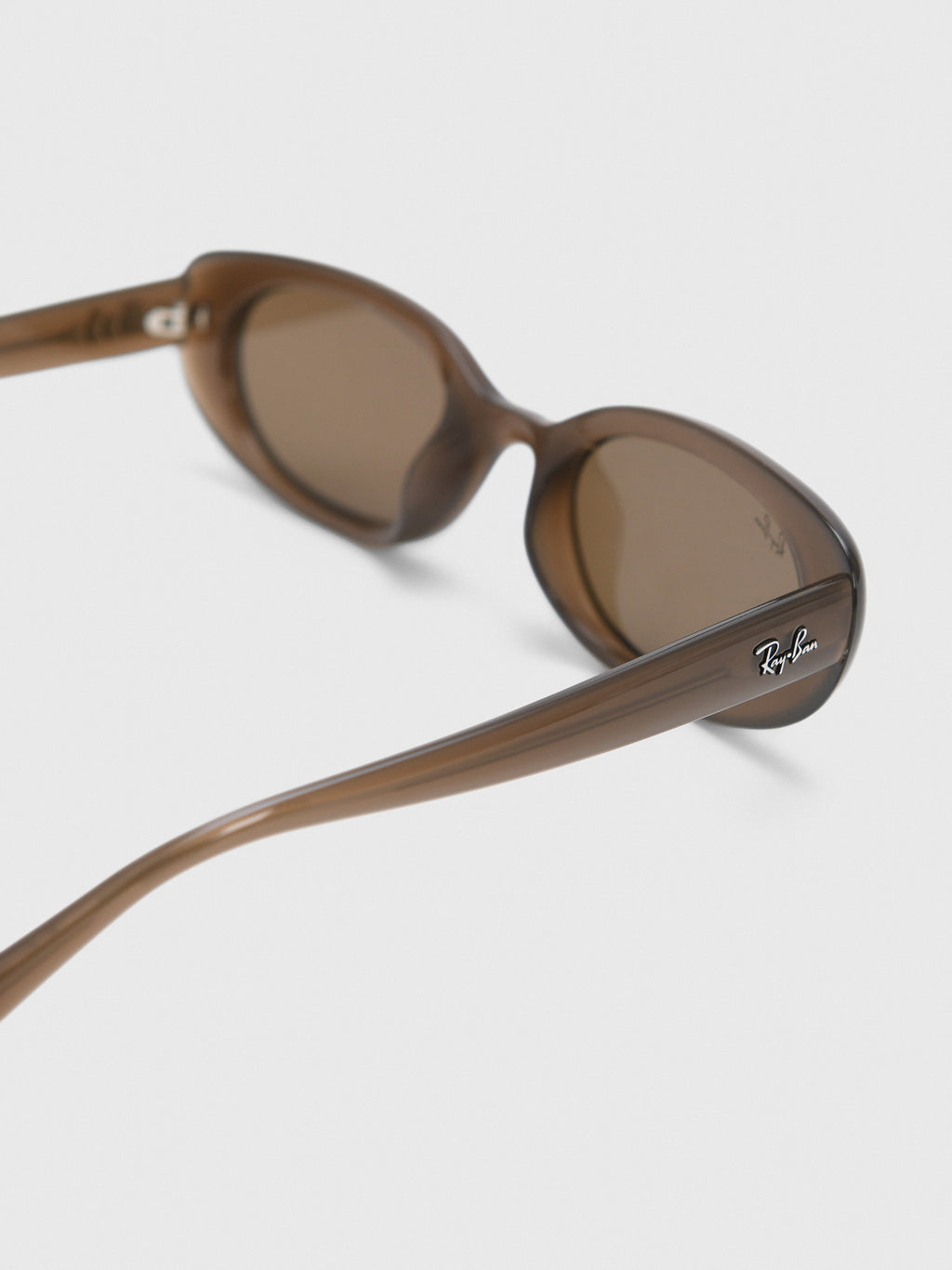 Ray-Ban 0RB4441D Bio-Based Sunglasses - Saint Bernard
