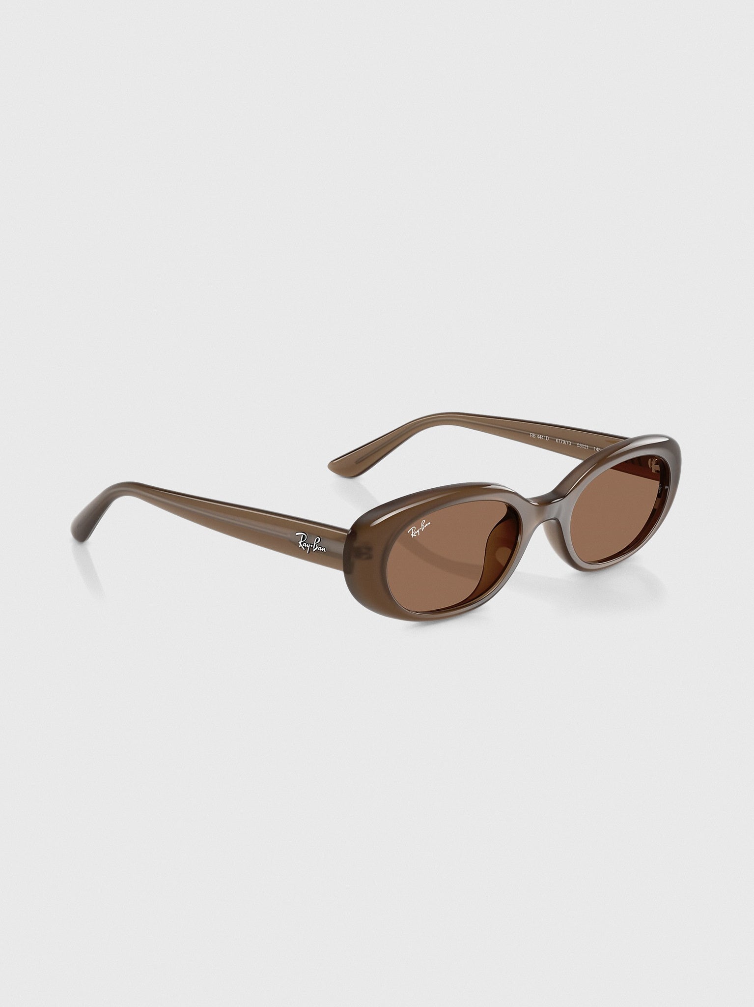 Ray-Ban 0RB4441D Bio-Based Sunglasses - Saint Bernard