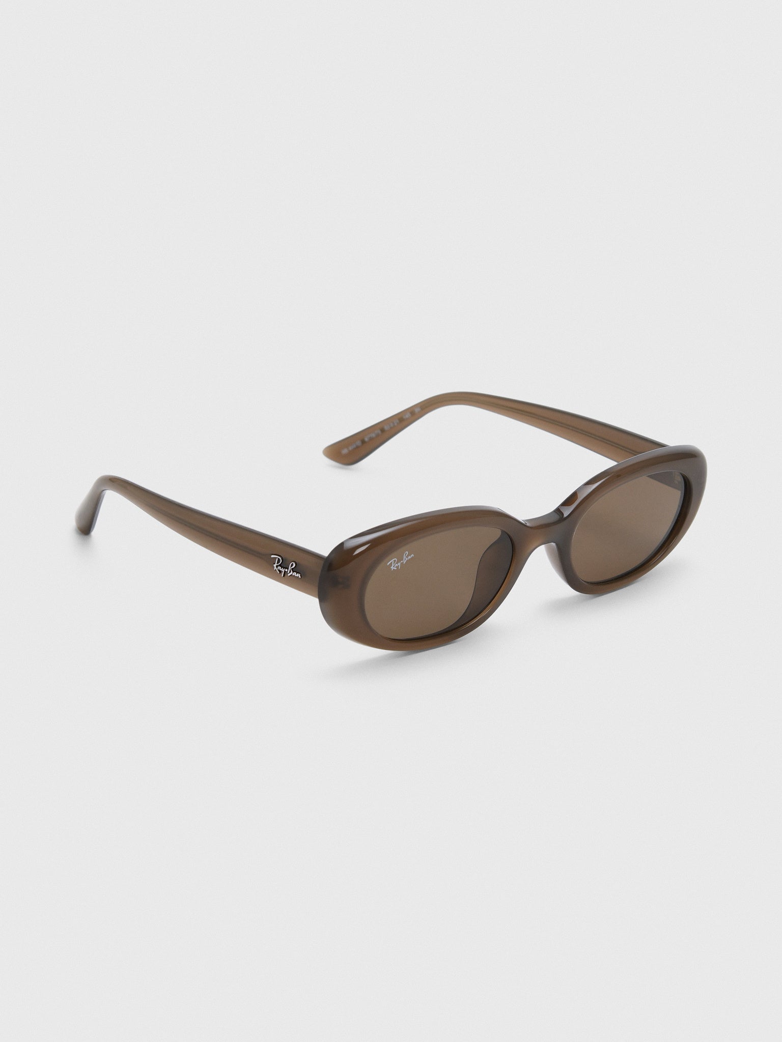 Ray-Ban 0RB4441D Bio-Based Sunglasses - Saint Bernard