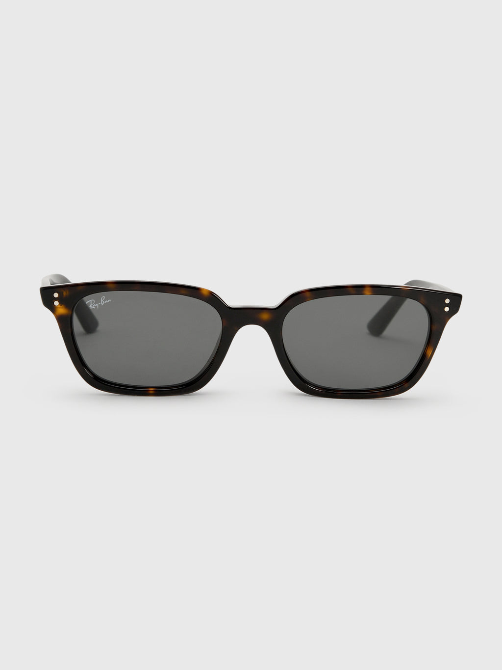 Ray-Ban Zaya Bio-Based Sunglasses - Saint Bernard