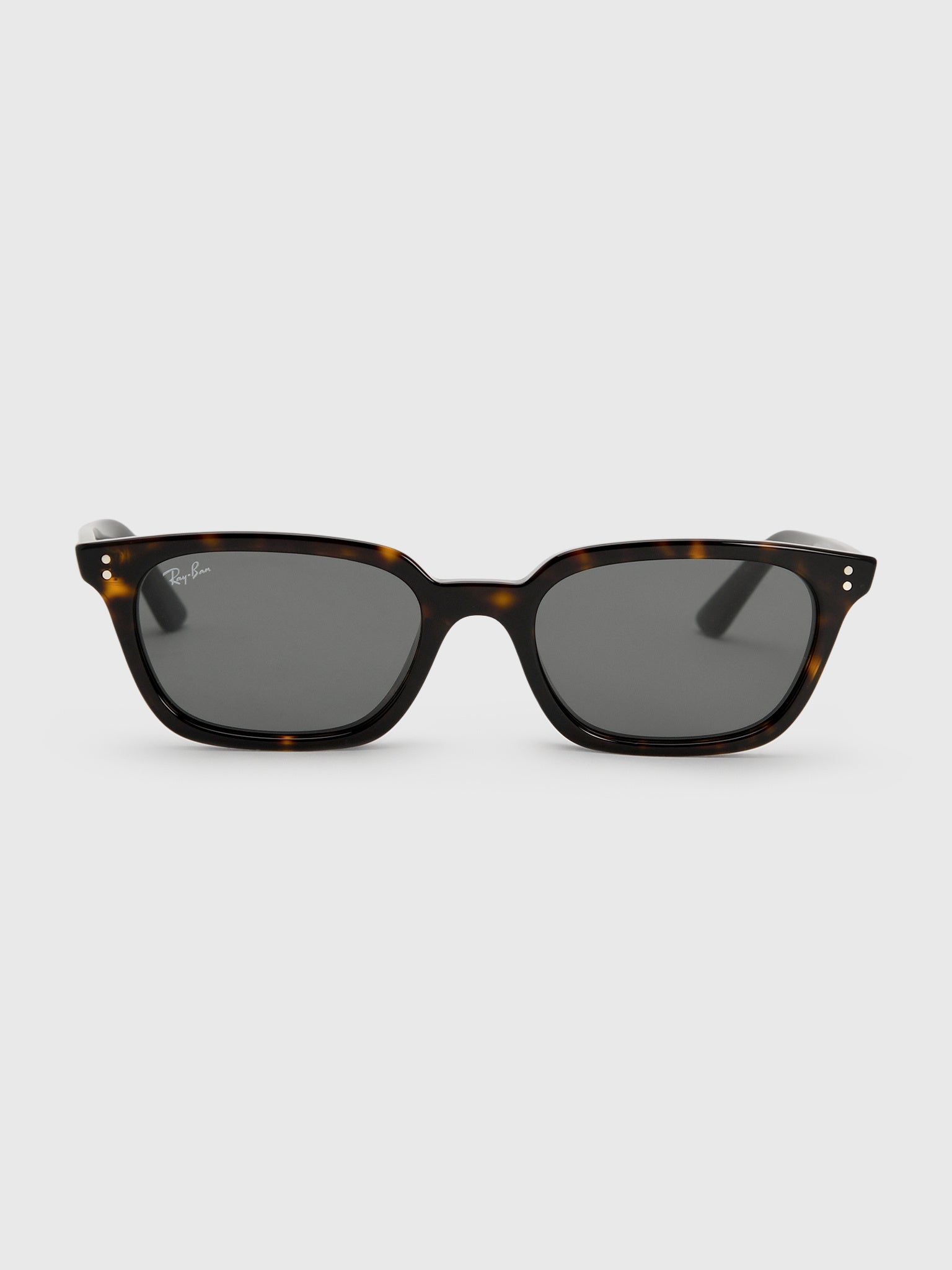 Ray-Ban Zaya Bio-Based Sunglasses - Saint Bernard