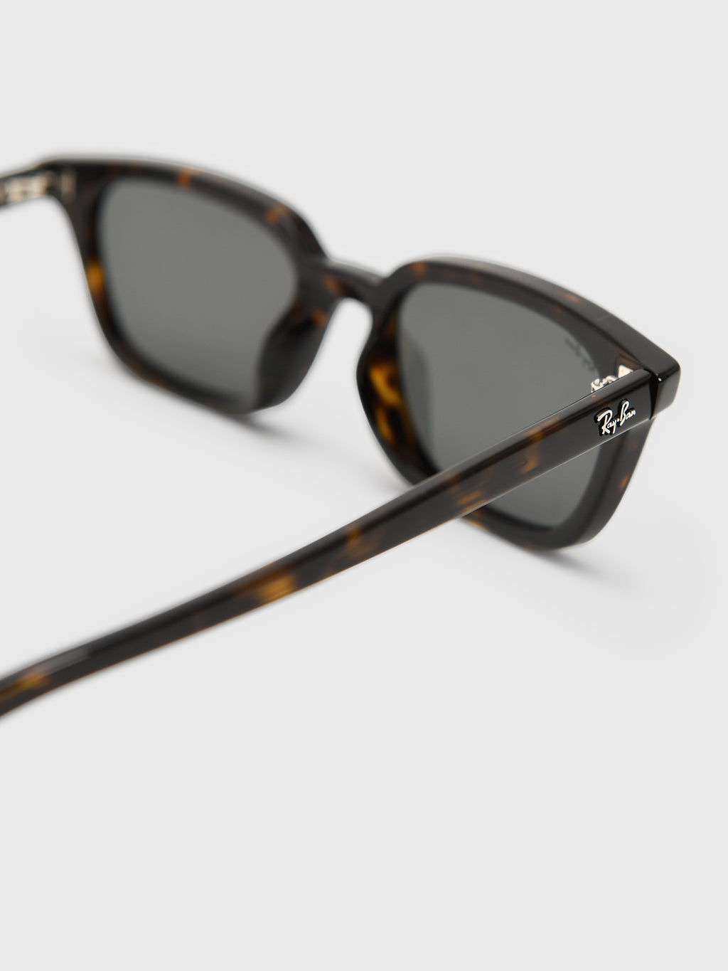 Ray-Ban Zaya Bio-Based Sunglasses - Saint Bernard