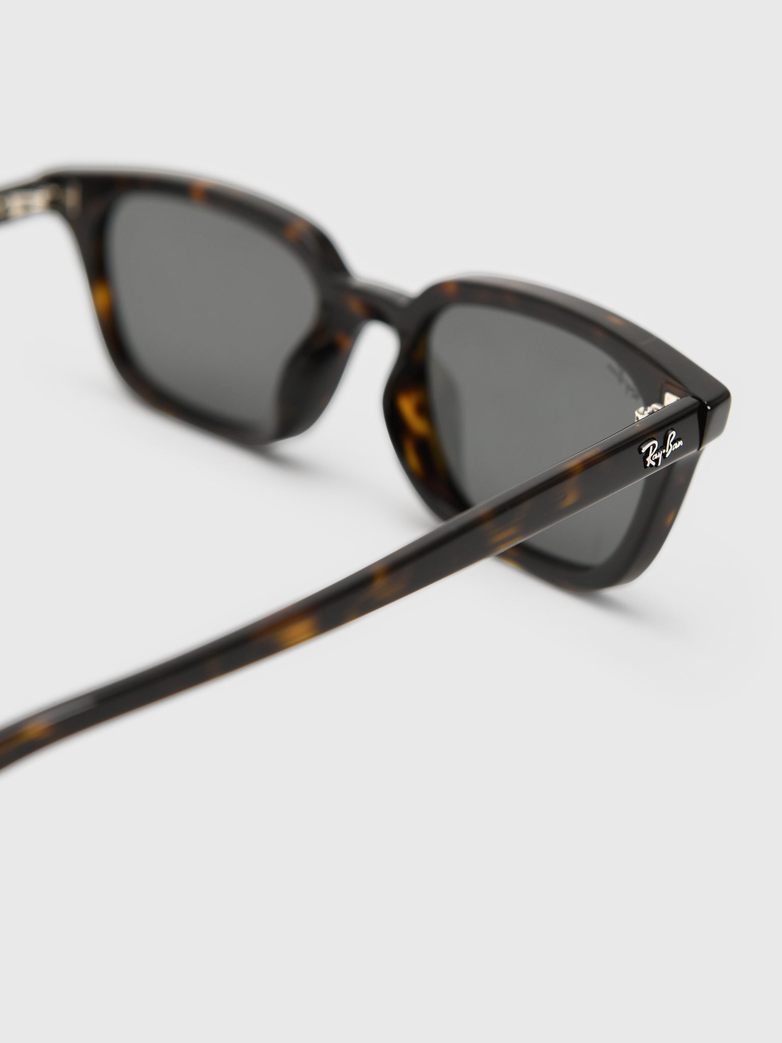 Ray-Ban Zaya Bio-Based Sunglasses - Saint Bernard