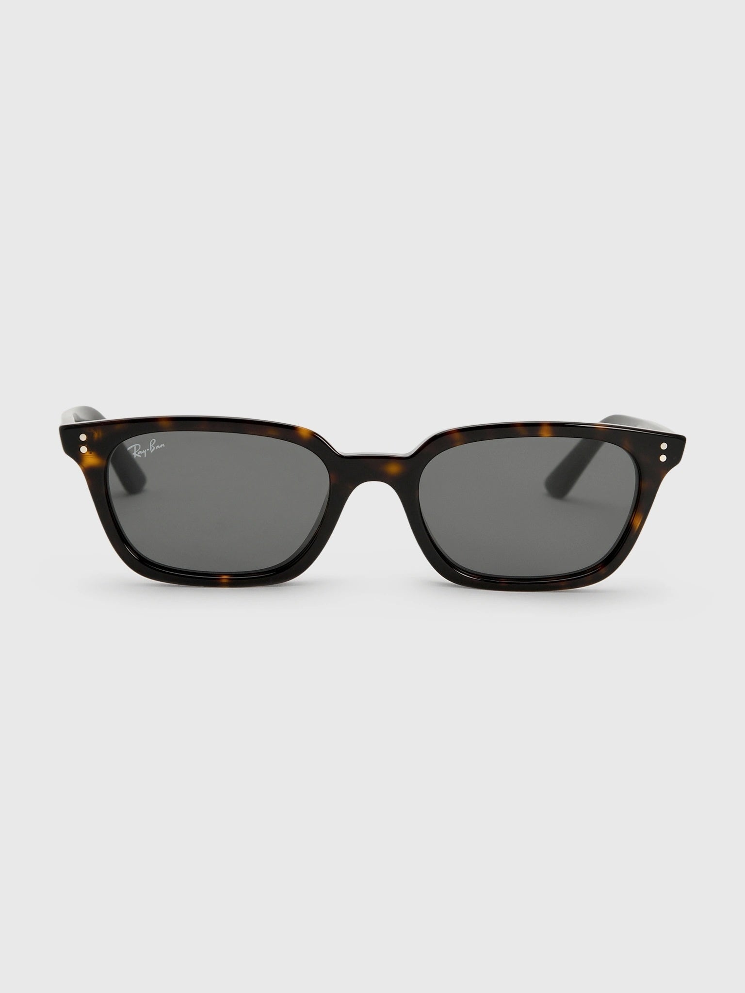 Ray-Ban Zaya Bio-Based Sunglasses