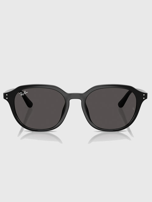 Ray-Ban 0RB4459D Sunglasses