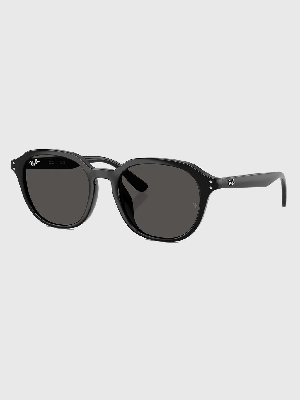Ray-Ban 0RB4459D Sunglasses - Saint Bernard
