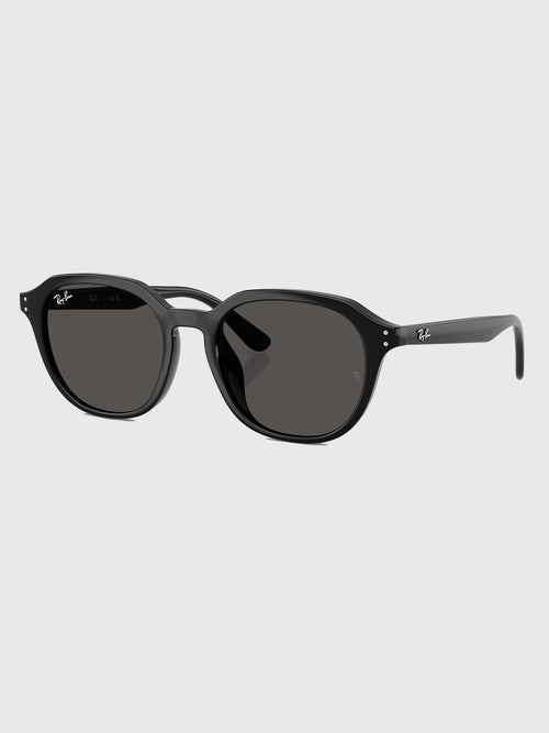 Ray-Ban 0RB4459D Sunglasses
