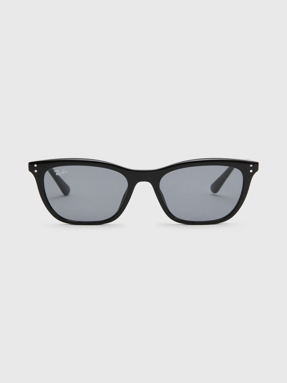 Ray-Ban 0RB4474D Sunglasses - Saint Bernard