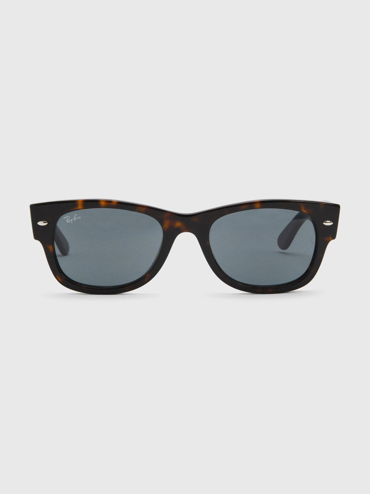 Ray-Ban Mega Wayfarer II Sunglasses - Saint Bernard