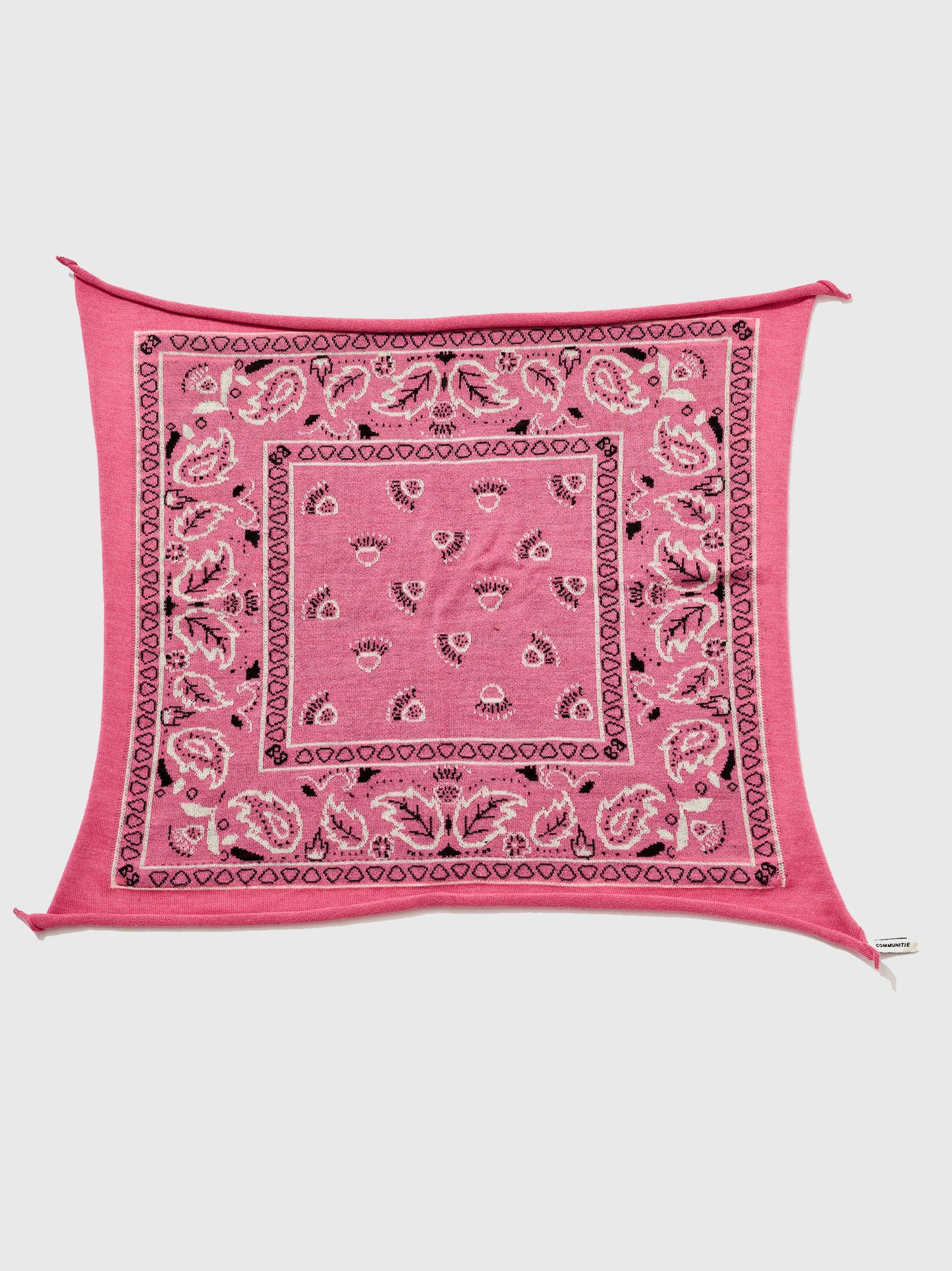 1001__xRASPBERRY-alt2