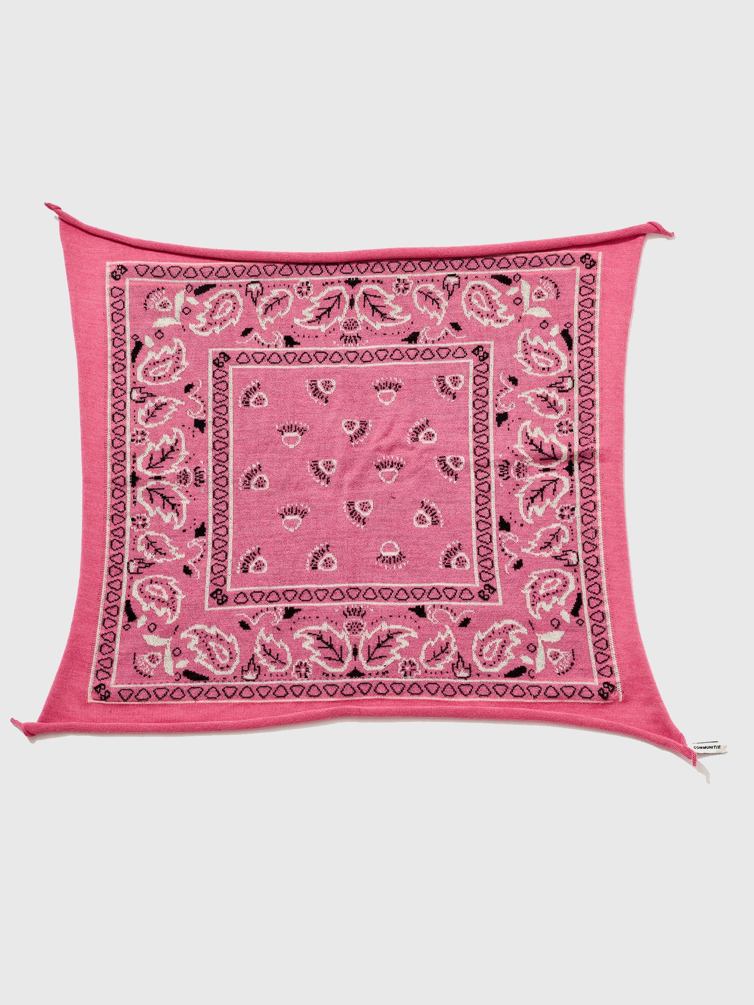 1001__xRASPBERRY-alt2