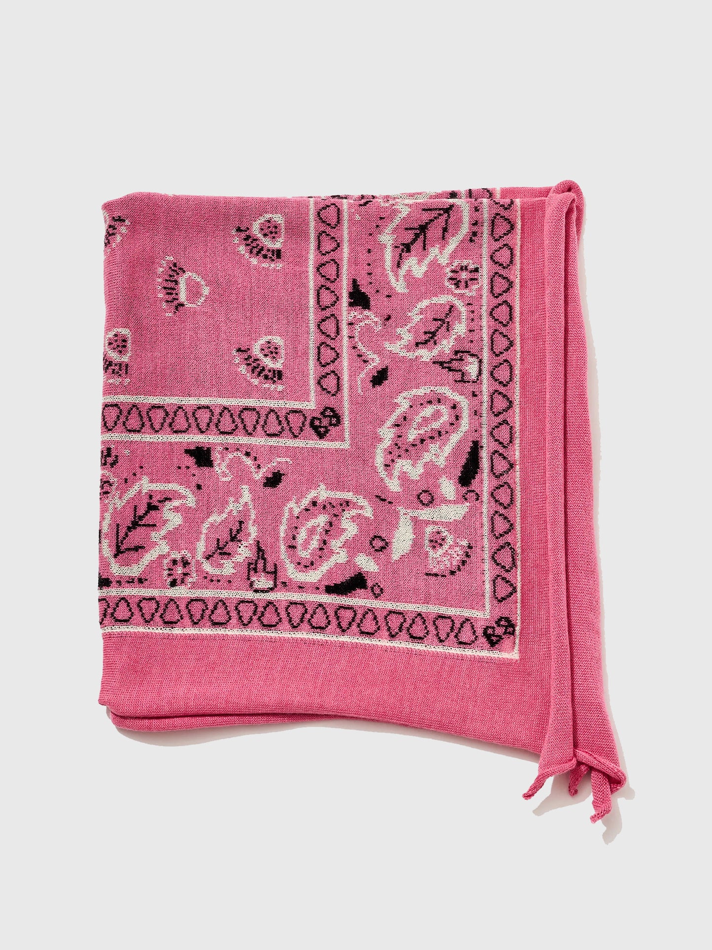 1001__xRASPBERRY-alt1