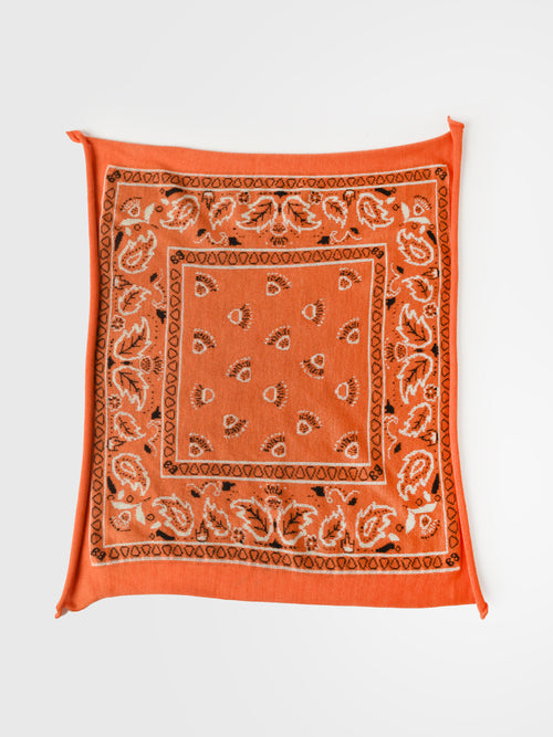 Organic John Patrick Cashmere Bandana