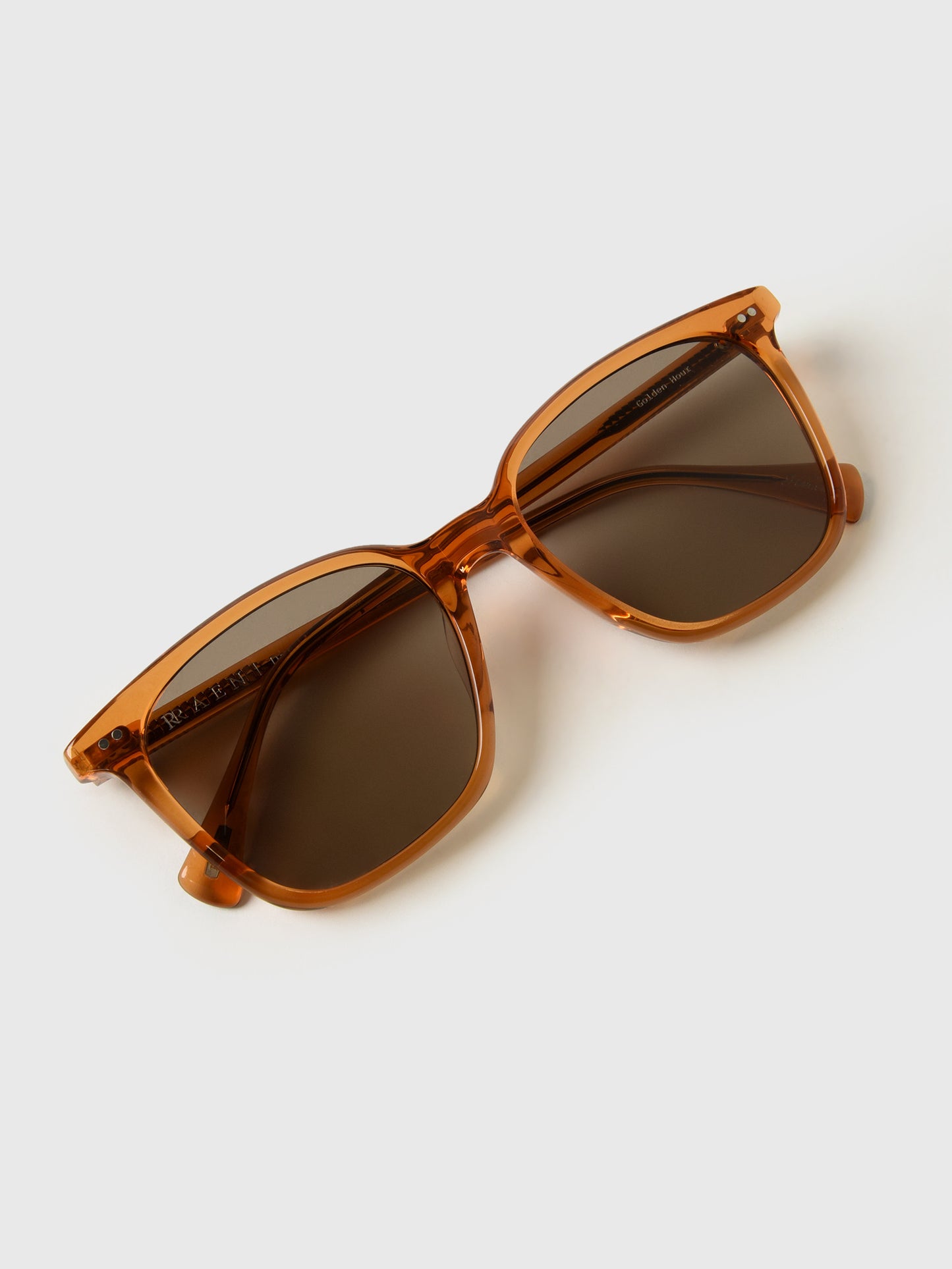 Raen Darine Sunglasses - Saint Bernard