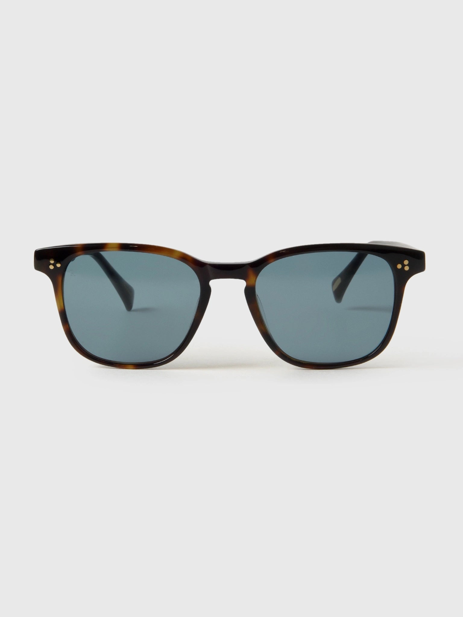 Raen Alvez Sunglasses – Saint Bernard